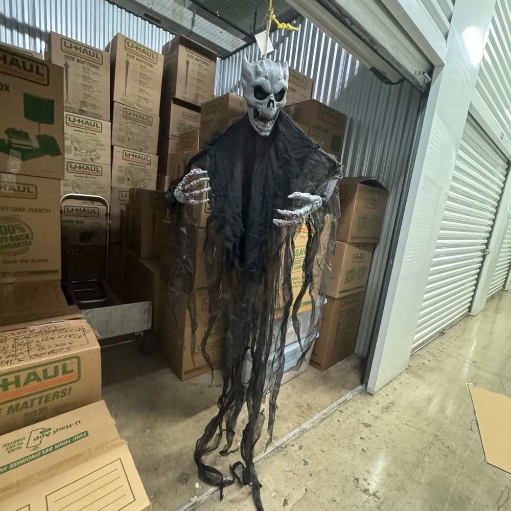 Amscan Eerie Skeleton Ghost Decor in Black and Gray